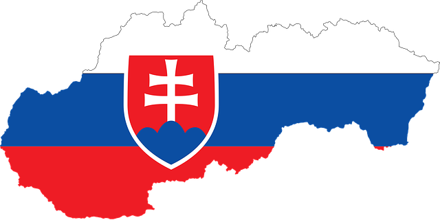 Kontur Słowacji z flagą